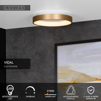 Lucide VIDAL - Plafonnière - Ø 28 cm - LED Dimb. - 1x20W 2700K - Mat Goud / Messing